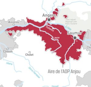 carte vin anjou